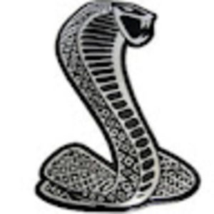 Meet your Posher, Ben